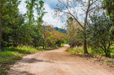 kırsal kesimde toprak yol