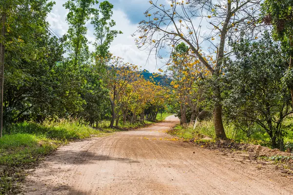 kırsal kesimde toprak yol