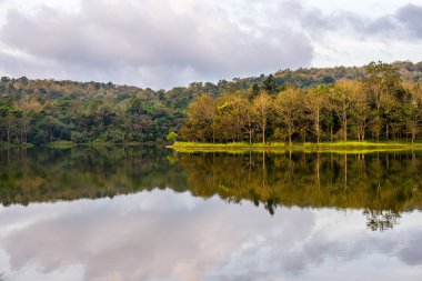 Rezervuar Jedkod Pongkonsao doğal çalışma ve Eko-Turizm Merkezi,: Saraburi, Thailand