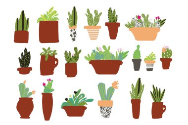 kaktüs bitkileri vektör illüstrasyonu 