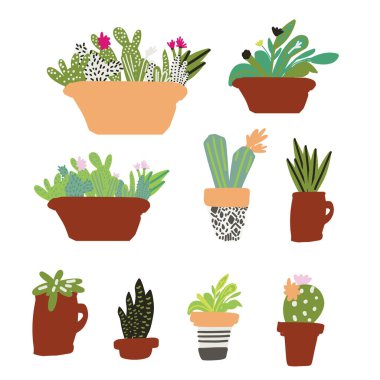 kaktüs bitkileri vektör illüstrasyonu 