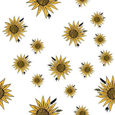 Dizaynınız için ayçiçeği desenli. Beyaz arkaplanda ayçiçeği