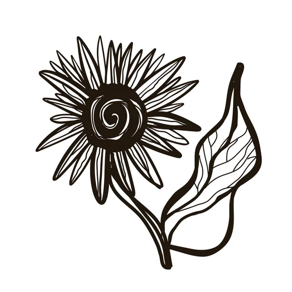 Black Drawing Sunflower Isolated White Background — Vettoriale Stock