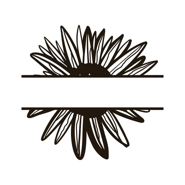 Black Drawing Sunflower Place Text Isolated White Background — Archivo Imágenes Vectoriales