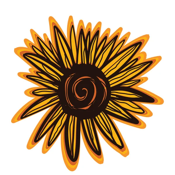 Drawing Sunflower Isolated White Background — Image vectorielle