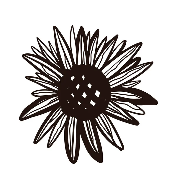 Black Drawing Sunflower Isolated White Background — Stock vektor
