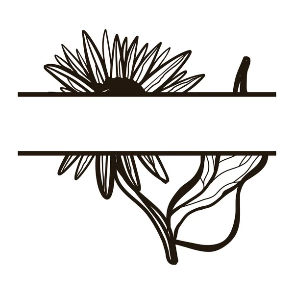Black Drawing Sunflower Place Text Isolated White Background —  Vetores de Stock