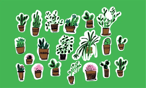 Jeu Simples Illustrations Vectorielles Dessinées Main Plantes Intérieur — Image vectorielle