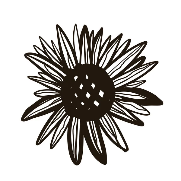 Black Drawing Sunflower Isolated White Background — Image vectorielle