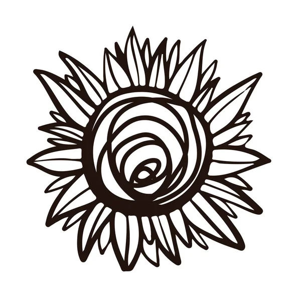 Black Drawing Sunflower Isolated White Background — Image vectorielle