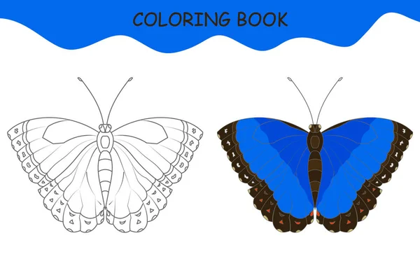 Malbuch Morpho Peleid Schmetterling Mit Beispiel Vorlage Für Den Druck — Stockvektor