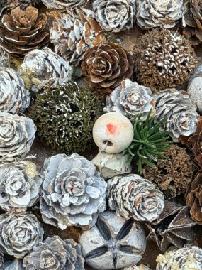 Çam kozalakları, tohum kapsülleri, yosun ve bir kum doları yoğun bir düzenleme beyaz boyanmış aksanlar, toprak dokular ve çeşitli doğal şekiller içerir, organik elementler arasında kırmızı konumlandırılmış küçük yuvarlak bir nesne ile.