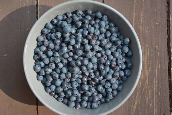 Blueberries Plate Wooden Background Photo Food Organic Vegetarian Dish Sweet — Stock Photo, Image