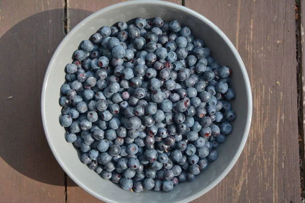 Blåbär Tallrik Träbakgrund Foto Mat Ekologisk Vegetarisk Rätt Söta Mogna — Stockfoto