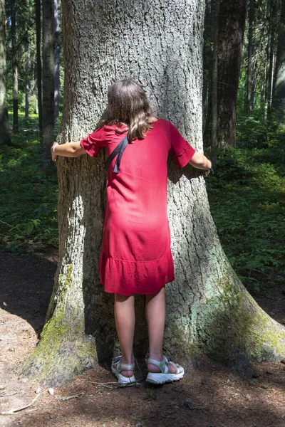 Девушка Красном Платье Обнимает Большое Дерево Лесу Вид Сзади Забота — стоковое фото