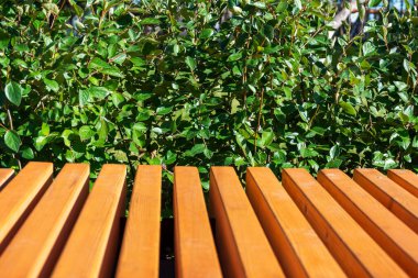 Ahşap bir bankın arka planı ve dokusu ve parktaki çalıların yeşil yaprakları..