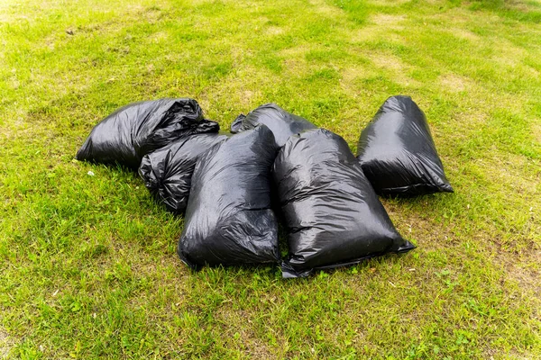 Black filled plastic bags with mown grass on the lawn, spring or autumn cleaning of the city from foliage, garbage, illegal landfills. Environmental protection.