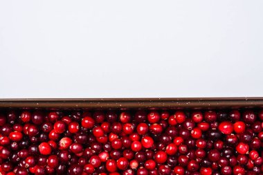 Olgun kırmızı yaban mersini arka planı ve kopyalamak için beyaz alan, en iyi kızılcık manzarası.