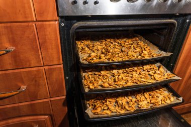 Elma dilimleri fırındaki çarşaflarda, kurutulmuş meyvelerde kurutulur..