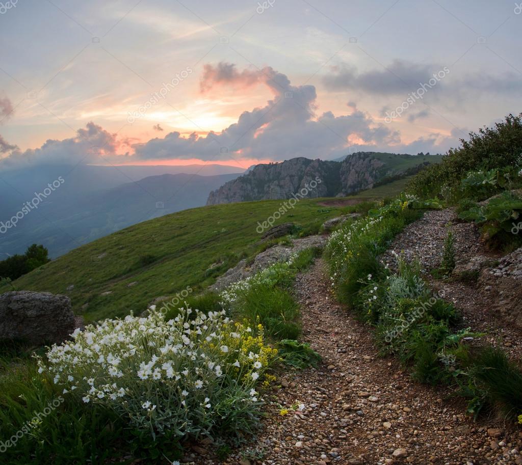 Mountain Landscape Path And Flowers Trekking In The Mountains Stock Photo Image By C Vadimborkin 122756404