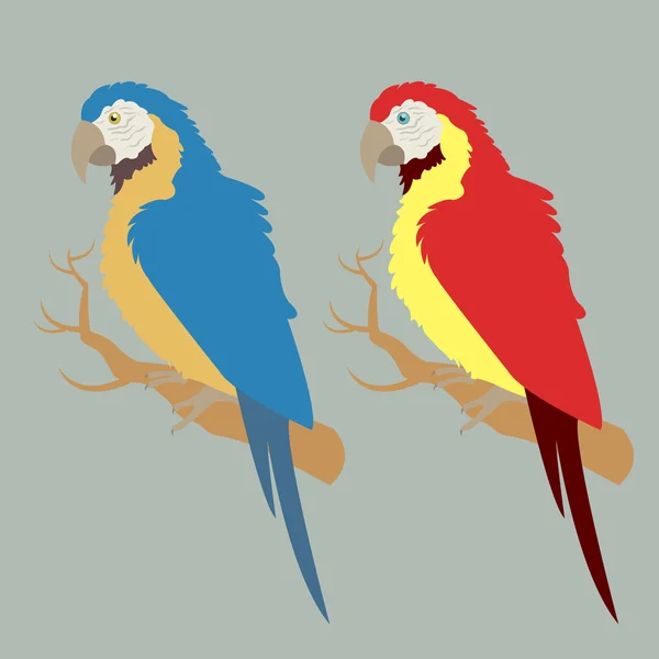 Loros rojos y azules — Archivo Imágenes Vectoriales