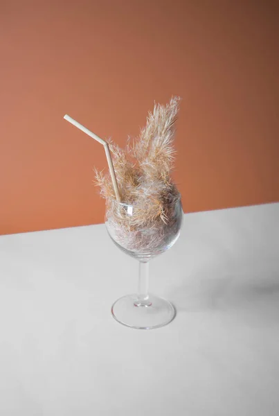 Pampas otlu kokteyli bir bardakta pampa sapından yapılmış pipetle. Minimum soyut kompozisyon arka planı. Japon iç mimari fikri. Serinletici fikir. Seçici odaklı iki renk arkaplanı.