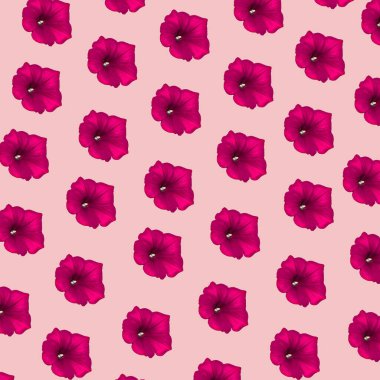 Surfinia çiçeği yumuşak pastel pembe arka planda çoğaldı. Asgari soyut mevsimler kavramı. 