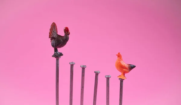Kids toys rooster and turkey standing on the opposite side of ladder of success. Funny business and market fight idea. Minimal abstract career opportunities concept. Steel nails stairs. Copy space.