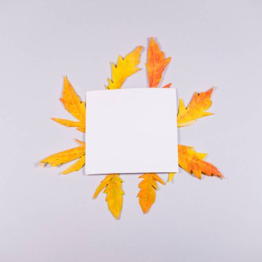 Gri arka planda sonbahar tebrik kartı bırakıyor. Düz yatıyordu. Üst Manzara. İyi tatiller. En düşük düşüş ve sezona özel konsept.