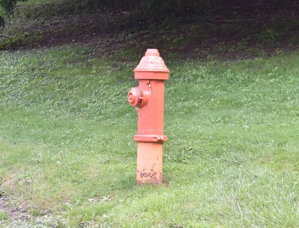 Red Fire Hydrant Een Grasveld — Stockfoto