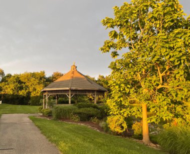 Gün batımına yakın bir ağacın yanındaki çardağa giden yol.