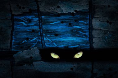 Vahşi bir hayvanın sarı gözleri eski bir ağaç gövdesinde karanlık bir çatlakta.