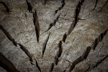 Bir dizayn için geniş çatlaklar arkaplan ile ahşap bir kütük dokusu
