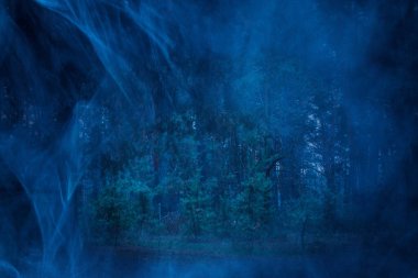 Pofuduk yeşil çamlı hayalet gece ormanı korkutucudur ve etrafta kimse yoktur sadece vahşi doğa ve mavi sis cadılar bayramı konsepti