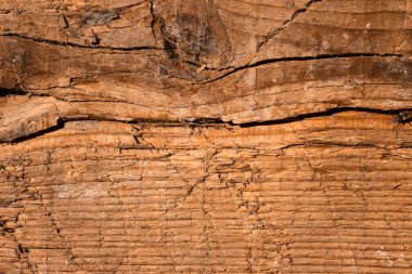 Ahşap tasarım konsepti için arka planı kusurlu eski ahşabın parlak dokusu