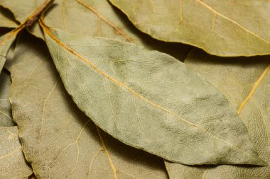 Bir defne yaprağının dokusu yemek pişirme kavramına ihanet ediyor.