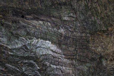 Mistik ahşap doku ve büyüleyici desenler. Tasarım için gizemli atmosfer arkaplanı.