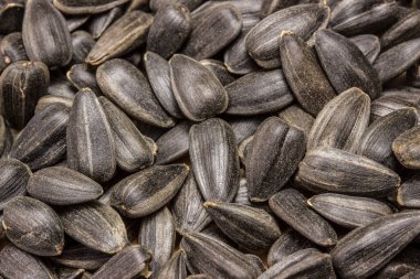 Kızarmış ayçekirdeği yiyecek ve atıştırmalık konsepti