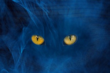 Ahşap bir arka planda mavi puslu bir hayaletin büyüleyici ve büyük turuncu gözleri. gizemli soyutlama. Cadılar Bayramı konsepti