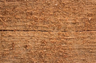 Ahşap çatlamış bir tahtanın parlak sarı dokusu ince ince ince kıymıklarla kaplı tasarım için arka plan