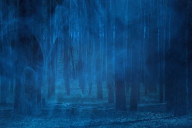 Çam ormanında gizemli mavi bir açıklık. Uzun ağaçlar, doğa ve vahşi doğa ile kaplanmış bir sis konsepti.