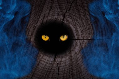 Vahşi bir hayvanın turuncu gözleri, yuvarlak bir orman ağacının boşluğunda parıldıyor. Etrafındaki mavi sis, mistik doğa ve cadılar bayramı kavramı.