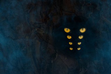 Dört çift ışıldayan göz, mavi hayaletlerle kaplı bir ağacın karanlık boşluğunda mistik doğa kavramı.