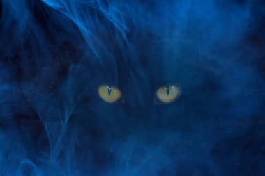 Mistik doğanın mavi sisli iblis kavramının ışıltılı gözleri.