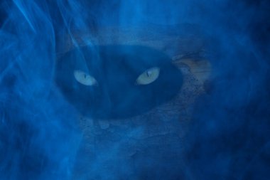 Kalın mavi sisli bir ormanda, içi boş bir ağaçta gizlenmiş gizemli bir canavar cadılar bayramı için duvar kâğıdı.