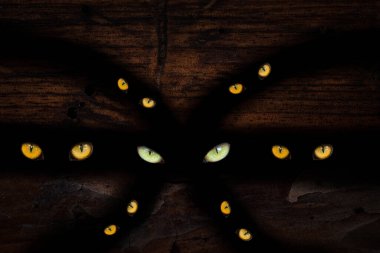 Vahşi hayvan gözlerinin Cadılar Bayramı konseptini ve mistik doğayı aydınlattığı karanlık çatlakların deseni.