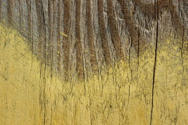 Eski gri ahşap dokusu dikey kahverengi çizgilerle kısmen sarı boya ile kaplanmış tasarım için sanatsal grunge arkaplan