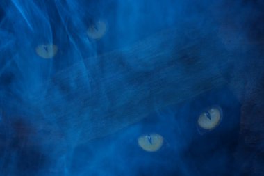 Yaşlı bir ağacın deliklerinde saklanan gizemli hayvanlar kalın mavi sis konseptiyle kaplı cadılar bayramı için orman sakinlerinin duvar kağıtları.