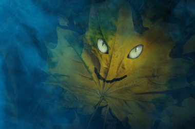 Gülümseyen bir sonbahar yaprağı ve mavi bir sis konsepti olan cadılar bayramı ve mistisizm etrafında parıldayan kurnaz gözler.