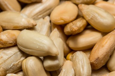 Soyulmuş ayçiçeği çekirdekleri yakın çekim yeme kavramı